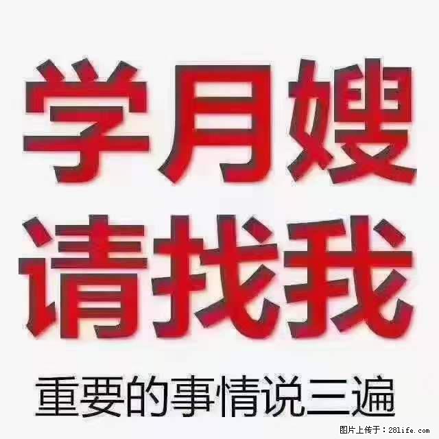为什么要学习月嫂，育婴师？ - 其他广告 - 广告专区 - 阿克苏分类信息 - 阿克苏28生活网 aks.28life.net