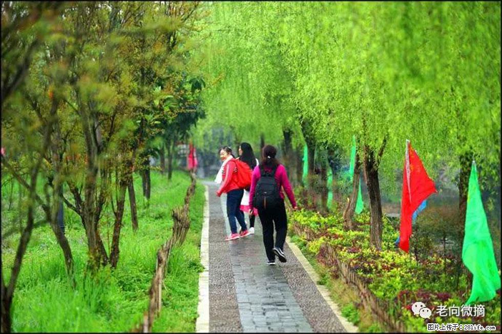 【春天，广西桂林灌阳县向您发出邀请！】江口老街又逢春 - 游山玩水 - 阿克苏生活社区 - 阿克苏28生活网 aks.28life.net