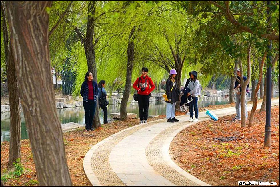 【春天，广西桂林灌阳县向您发出邀请！】江口老街又逢春 - 游山玩水 - 阿克苏生活社区 - 阿克苏28生活网 aks.28life.net