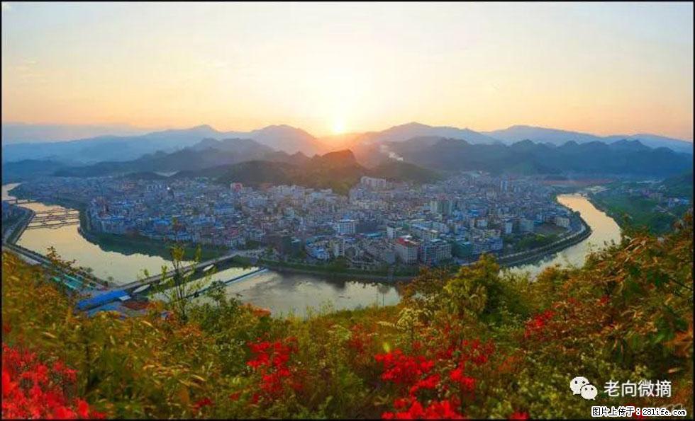 【春天，广西桂林灌阳县向您发出邀请！】登麒麟山，相约映山红 - 游山玩水 - 阿克苏生活社区 - 阿克苏28生活网 aks.28life.net