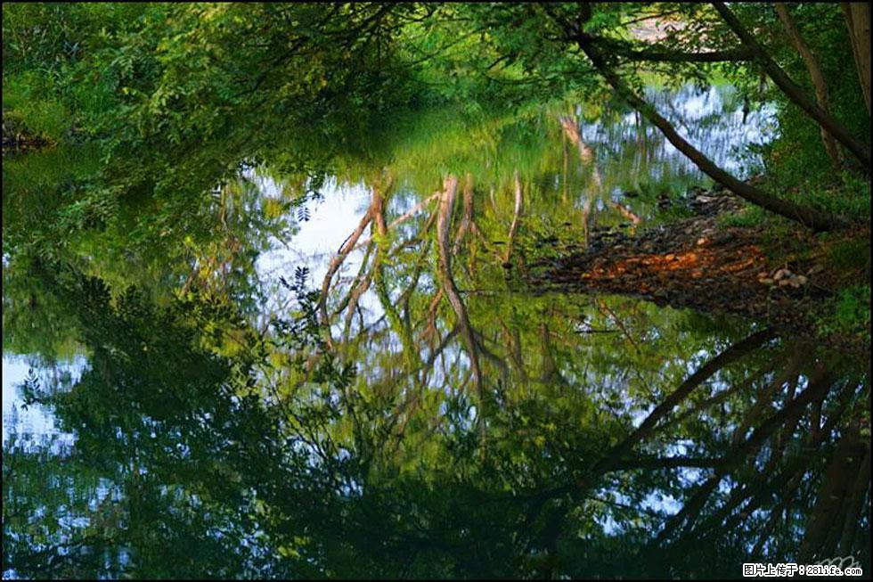 【春天，广西桂林灌阳县向您发出邀请！】熊家寨湿地公园 - 游山玩水 - 阿克苏生活社区 - 阿克苏28生活网 aks.28life.net