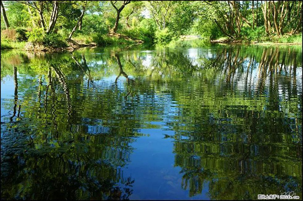 【春天，广西桂林灌阳县向您发出邀请！】熊家寨湿地公园 - 游山玩水 - 阿克苏生活社区 - 阿克苏28生活网 aks.28life.net