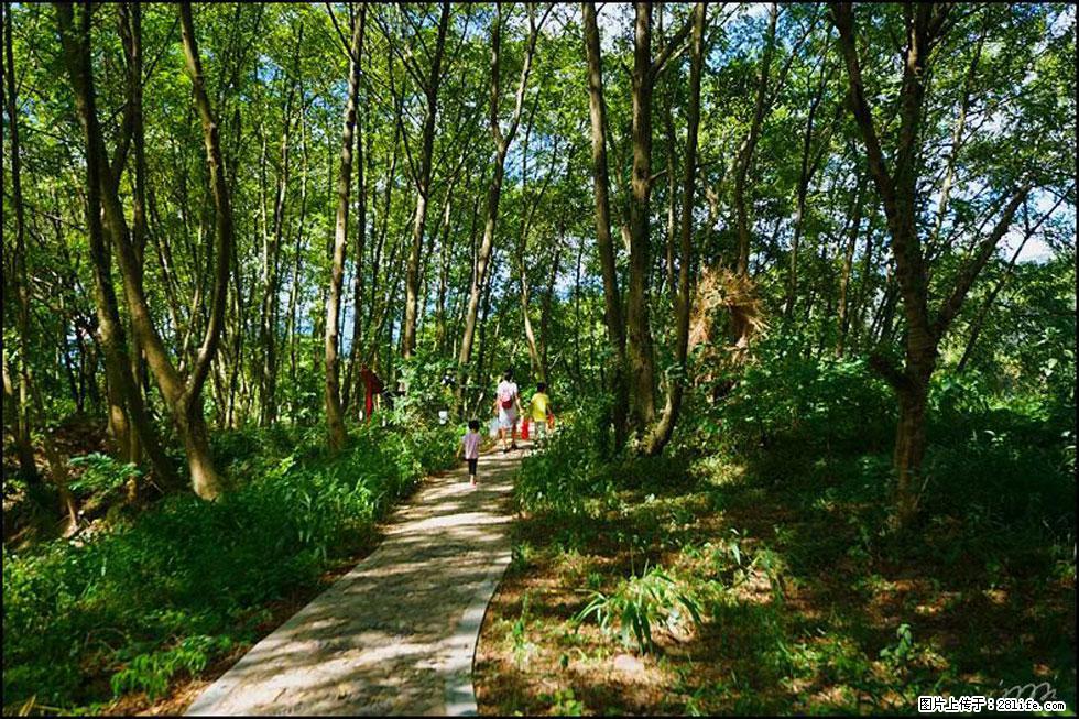 【春天，广西桂林灌阳县向您发出邀请！】熊家寨湿地公园 - 游山玩水 - 阿克苏生活社区 - 阿克苏28生活网 aks.28life.net