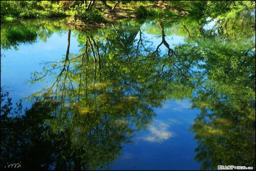 【春天，广西桂林灌阳县向您发出邀请！】熊家寨湿地公园 - 游山玩水 - 阿克苏生活社区 - 阿克苏28生活网 aks.28life.net