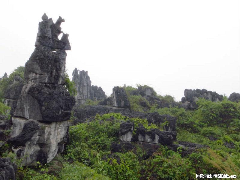 桂林旅游名城景点：灌阳文市石林 - 游山玩水 - 阿克苏生活社区 - 阿克苏28生活网 aks.28life.net