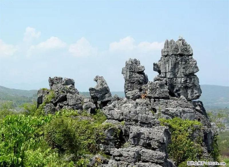桂林旅游名城景点：灌阳文市石林 - 游山玩水 - 阿克苏生活社区 - 阿克苏28生活网 aks.28life.net
