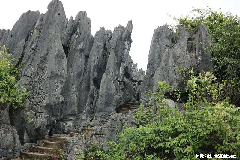 桂林旅游名城景点：灌阳文市石林 - 游山玩水 - 阿克苏生活社区 - 阿克苏28生活网 aks.28life.net