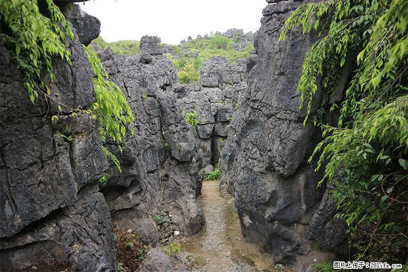 桂林旅游名城景点：灌阳文市石林 - 游山玩水 - 阿克苏生活社区 - 阿克苏28生活网 aks.28life.net