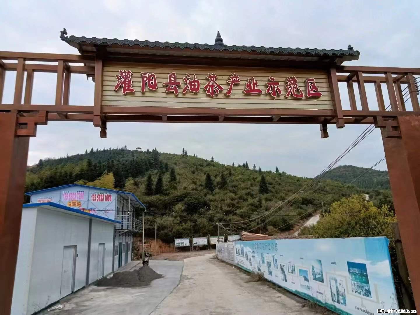 【灌阳县油茶产业示范区】一个有着充实的精神生活的人，对待身外之物自会有一种淡泊的态度 - 美食天地 - 阿克苏生活社区 - 阿克苏28生活网 aks.28life.net