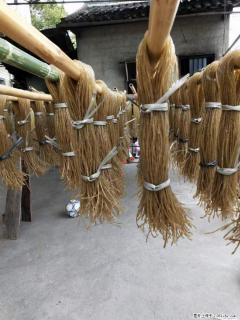 【灌阳正宗红薯粉】美女家里自己做的，干净卫生，假一赔十，价格合理，抢购电话：13737312895 - 阿克苏28生活网 aks.28life.net