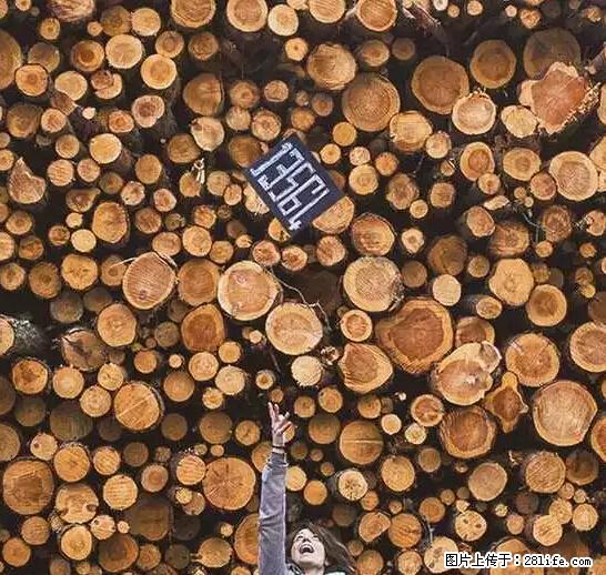 辞掉工作周游世界？现在他们在洗厕所…… - 游山玩水 - 阿克苏生活社区 - 阿克苏28生活网 aks.28life.net