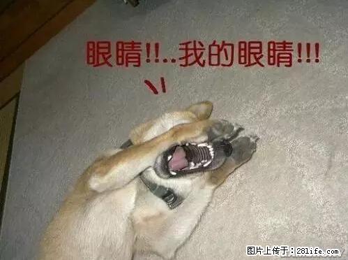 笑癫了！一女的怀孕三年未生，他终于忍不住了... - 娱乐八卦 - 阿克苏生活社区 - 阿克苏28生活网 aks.28life.net