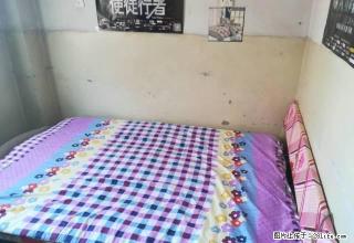 (单间出租)太白对面单间主卧出租4楼有网太白对面单间主卧出租4楼有网 - 阿克苏28生活网 aks.28life.net