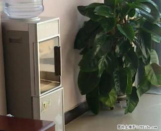 团结西路金鼎华府高层空房出租 可当办公室 美容室等 - 阿克苏28生活网 aks.28life.net
