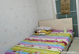 好家乡旁左岸明珠精装修单身公寓出租 - 阿克苏28生活网 aks.28life.net