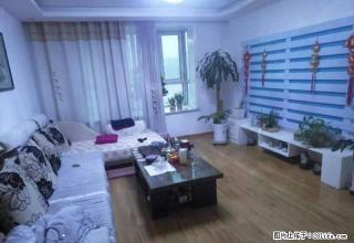 新华书店+新御华庭+精装+单身公寓+地暖+拎包入住 - 阿克苏28生活网 aks.28life.net