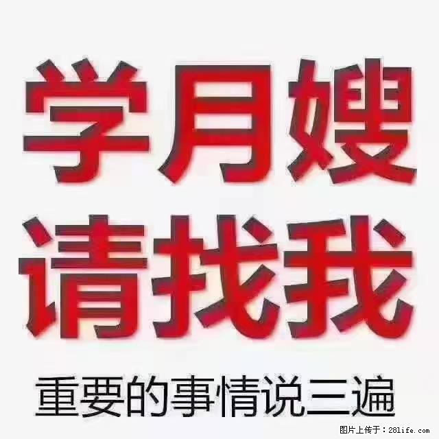 【招聘】月嫂，上海徐汇区 - 职场交流 - 阿克苏生活社区 - 阿克苏28生活网 aks.28life.net