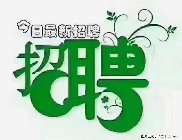 上海青浦区招仓管 - 职场交流 - 阿克苏生活社区 - 阿克苏28生活网 aks.28life.net