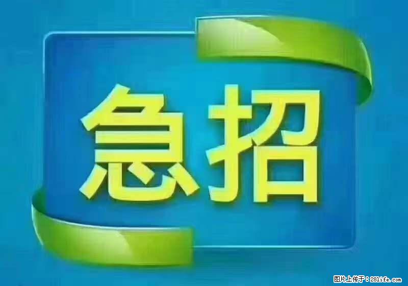 招出纳8000元/月，无证可以，要有相关经验，上海五险一金，包住，包工作餐，做六休一。 - 职场交流 - 阿克苏生活社区 - 阿克苏28生活网 aks.28life.net