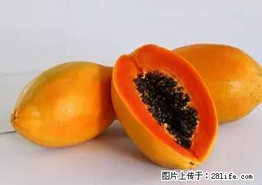 晕车、脚气、牙齿变黄、皮肤粗糙？学会这些三分钟搞定！ - 阿克苏生活资讯 - 阿克苏28生活网 aks.28life.net