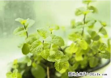 晕车、脚气、牙齿变黄、皮肤粗糙？学会这些三分钟搞定！ - 阿克苏生活资讯 - 阿克苏28生活网 aks.28life.net