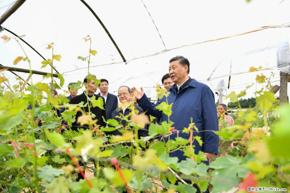 习近平赴广西考察调研 - 阿克苏生活资讯 - 阿克苏28生活网 aks.28life.net