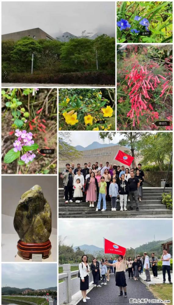 “粤灌文化 美好生活”油茶文化主题活动在广东深圳成功举办 - 阿克苏生活资讯 - 阿克苏28生活网 aks.28life.net