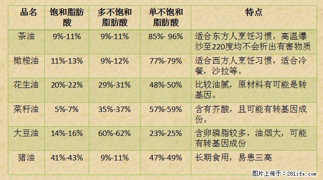 揭秘茶油的5大核心营养成分！被称为人体健康的“守护盾”！ - 阿克苏生活资讯 - 阿克苏28生活网 aks.28life.net