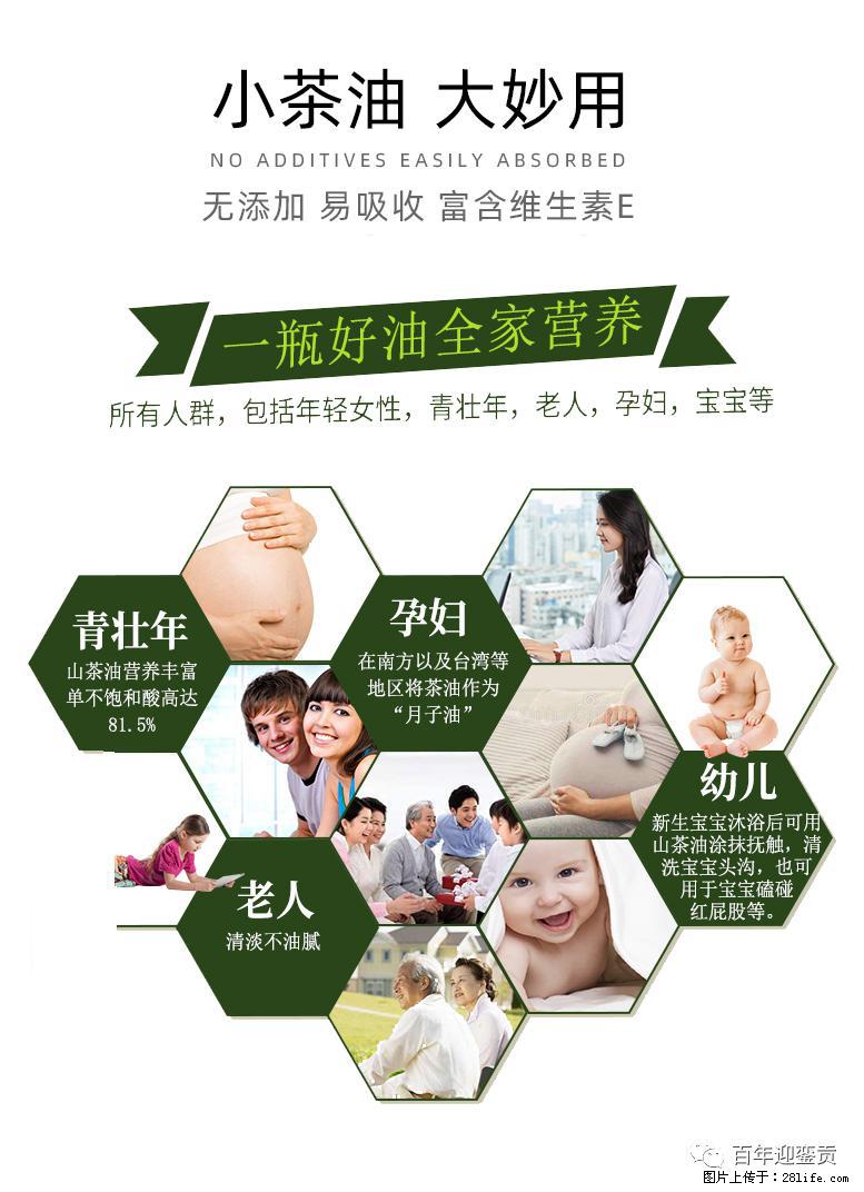 世界没有真相，只有认知，最好的食用油是中国的山茶油！ - 阿克苏生活资讯 - 阿克苏28生活网 aks.28life.net