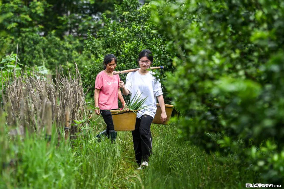 全网追的“扁担女孩”，找了一份暑假工，时薪12元 - 阿克苏生活资讯 - 阿克苏28生活网 aks.28life.net