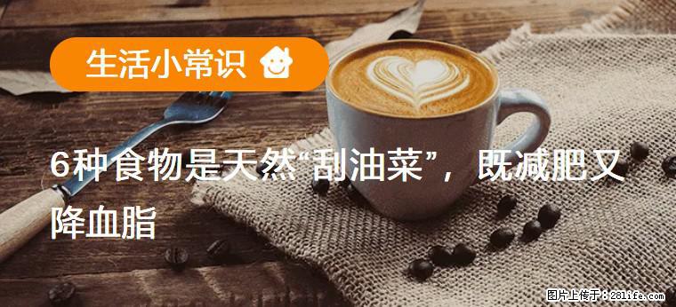 【生活小常识】6种食物是天然“刮油菜”，既减肥又降血脂 - 阿克苏生活资讯 - 阿克苏28生活网 aks.28life.net