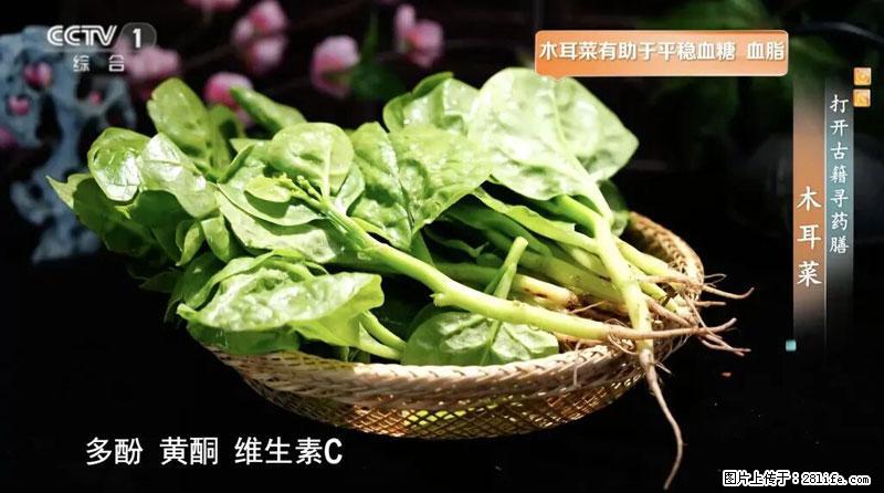 比牛奶补钙还厉害！凉血解毒、稳血糖...这菜冬天必吃，很多人却当草 - 阿克苏生活资讯 - 阿克苏28生活网 aks.28life.net