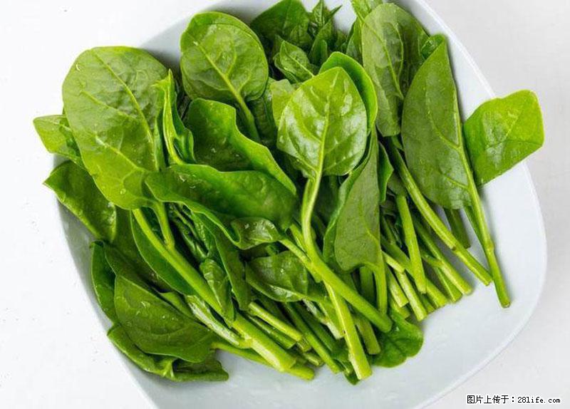 这些蔬菜是“天然钙片”,这6种被医生重点推荐 - 阿克苏生活资讯 - 阿克苏28生活网 aks.28life.net