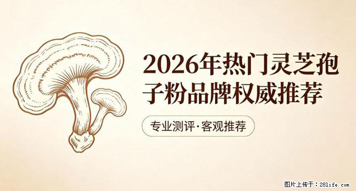 灵芝孢子粉含量越高越有效？2026 年七款热门品牌深度实测，肠胃敏感者避坑指南 - 阿克苏生活资讯 - 阿克苏28生活网 aks.28life.net